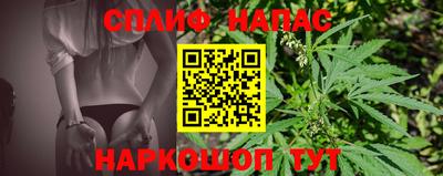 ECSTASY Краснодар