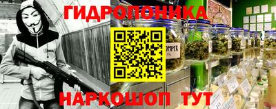 ECSTASY Краснодар