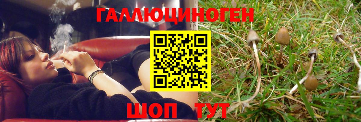Клин  Псилоцибиновые грибы MAGIC MUSHROOMS  Вход с VPN 